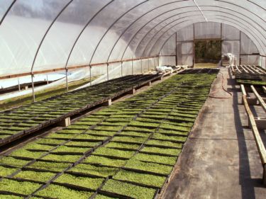 Farm Picture