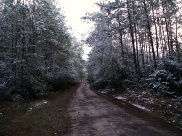 Farm Picture