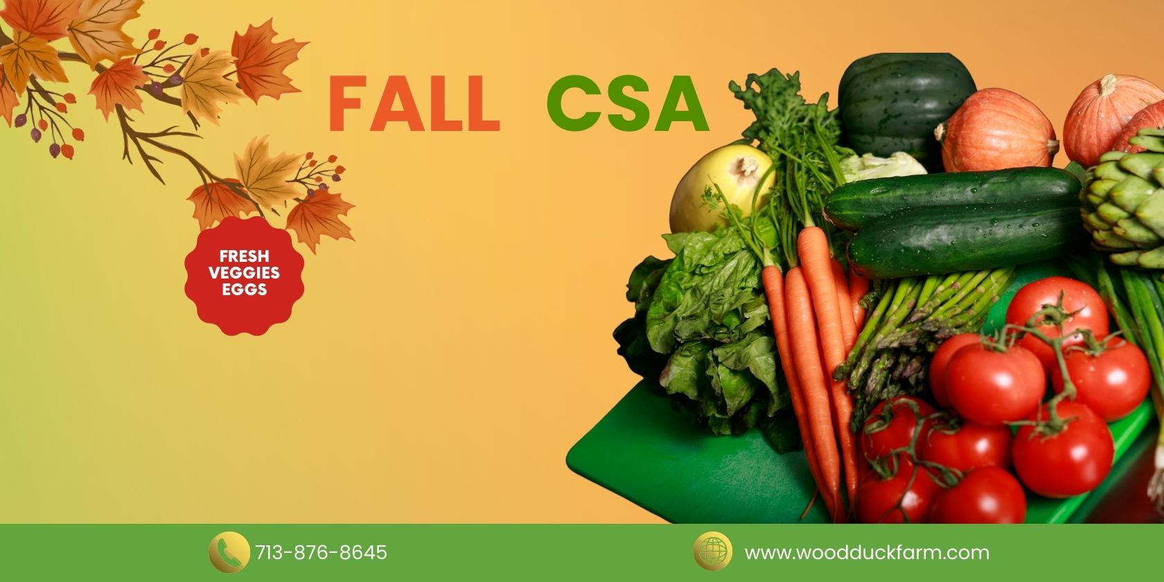 Wood Duck Farm Current Csa Program